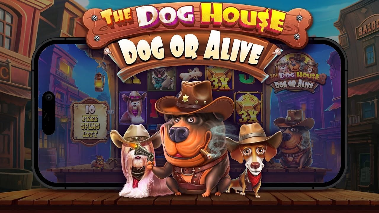 The Dog House - Dog or Alive